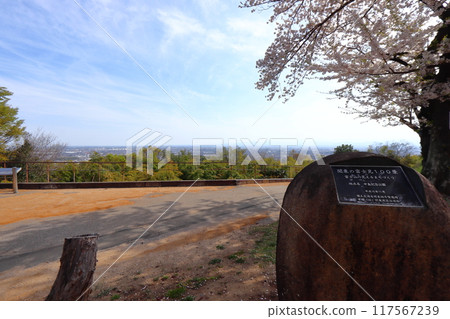 春天的新田金山城俯瞰關東平原 關東富士百景 117567239