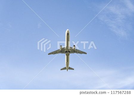 Airplane taking off from the airport Airplane taking off from the airport 117567288