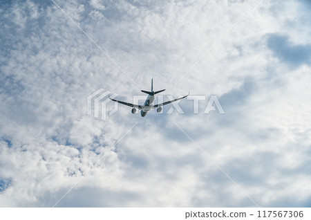 Airplane taking off from the airport 117567306
