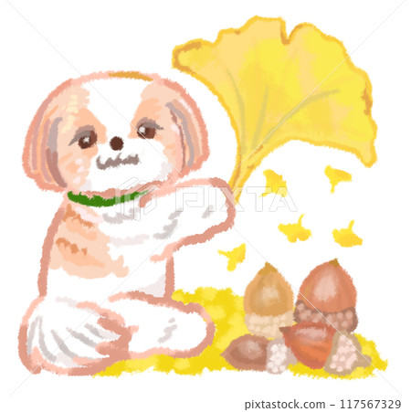 Shih Tzu holding a large ginkgo leaf Shih Tzu holding a large ginkgo leaf 117567329