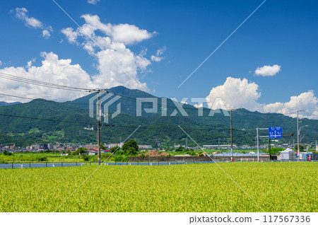 眺望大山的平塚田園風光 117567336