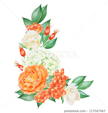 Orange and white roses, hydrangea, rowan berries and rose hips. Hand drawn watercolor isolated corner frame with fall vegetables and plants for banner template with copy space for text. Autumn clipart 117567467