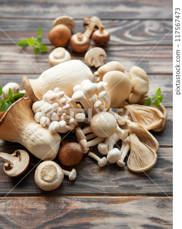 Assortment of various  mushrooms 117567473
