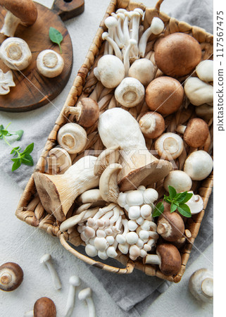 Assortment of various mushrooms 117567475