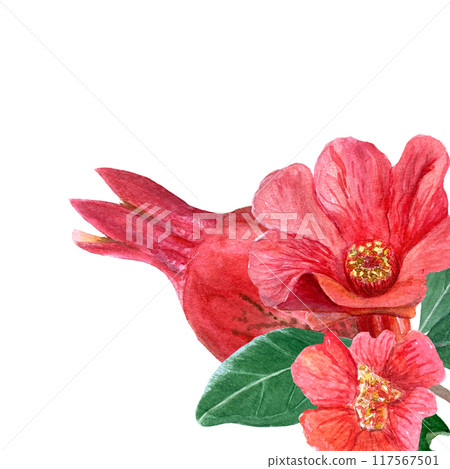 Pomegranate flowers, fruits and leaves watercolor composition isolated on white. Hand drawn realistic vibrant design for home decor, cards, restaurant menu, prints. Autumn plant clip art. Red and 117567501