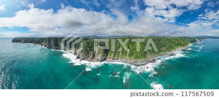 Aerial photography of the overwhelmingly high Uonosu Cliffs in Iwate Prefecture, photographed from the sea side by a drone, Tanohata Village, panorama 117567509