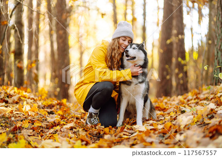 Smiling woman in a yellow coat walks with her cute pet Husky in the autumn forest in sunny weather. Smiling woman in a yellow coat walks with her cute pet Husky in the autumn forest in sunny weather. 117567557