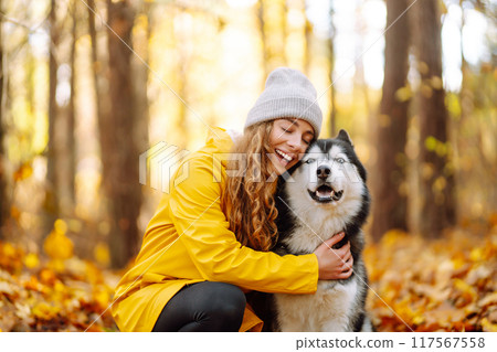 Smiling woman in a yellow coat walks with her cute pet Husky in the autumn forest in sunny weather. 117567558