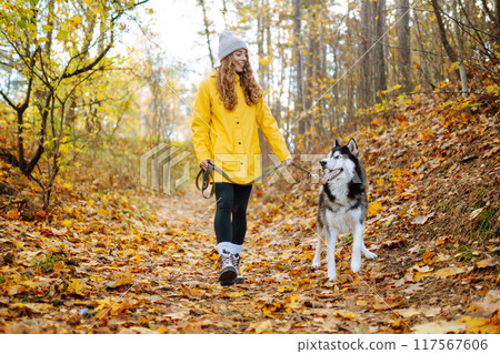 Smiling woman in a yellow coat walks with her cute pet Husky in the autumn forest in sunny weather. 117567606