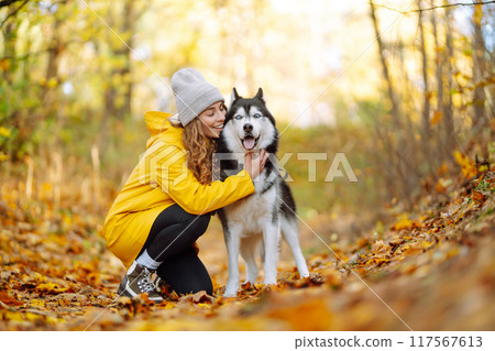 Smiling woman in a yellow coat walks with her cute pet Husky in the autumn forest in sunny weather. 117567613