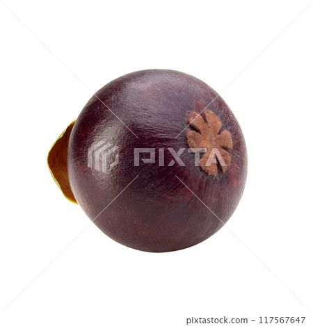 Ripe mangosteen fruit isolated on a white background Ripe mangosteen fruit isolated on a white background 117567647