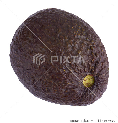 Avocado is a natural food with multivitamins isolated a white background Avocado is a natural food with multivitamins isolated a white background 117567659
