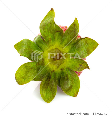 Fresh red strawberries on a white background Fresh red strawberries on a white background 117567670