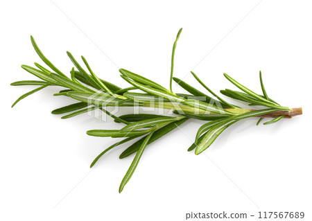 Rosemary leaf herbal is spices isolated on a white background. 117567689
