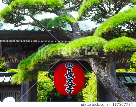 Hase Temple（神奈川縣鎌倉市） 117567784