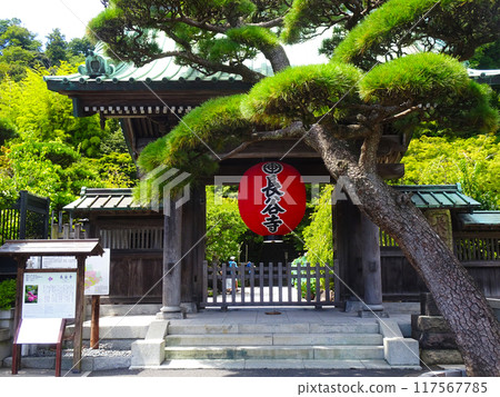 Hase Temple（神奈川縣鎌倉市） 117567785