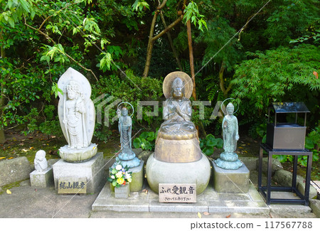 長谷寺的接觸觀音和梶山觀音(神奈川縣鎌倉市) 長谷寺的接觸觀音和梶山觀音(神奈川縣鎌倉市) 117567788