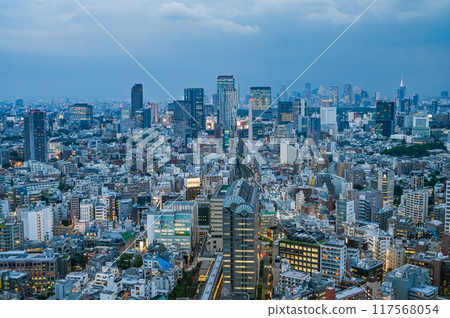 Night view of Tokyo, the capital of Japan Night view of Tokyo, the capital of Japan 117568054