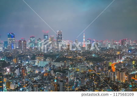 日本首都東京的夜景 日本首都東京的夜景 117568109