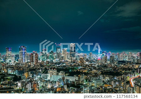 Night view of Tokyo, the capital of Japan Night view of Tokyo, the capital of Japan 117568134