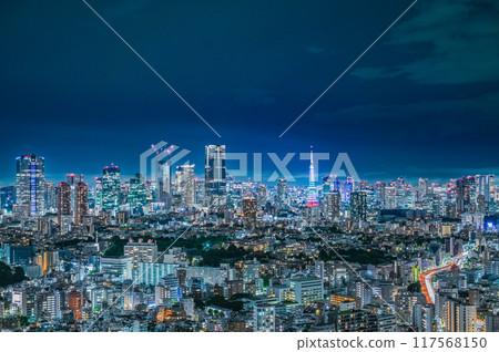 Night view of Tokyo, the capital of Japan 117568150