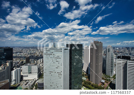 Northeast view from the Tokyo Metropolitan Government Building observation deck Northeast view from the Tokyo Metropolitan Government Building observation deck 117568337