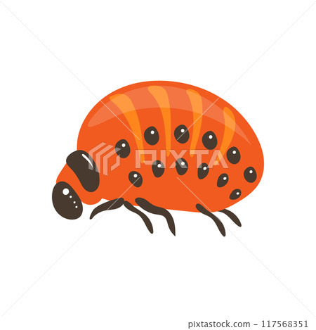 Colorado potato beetle larva on white background. Zoological illustration in flat style 117568351
