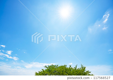 Summer clouds, trees and sun 117568527