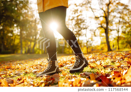 Close-up of feet in hiking boots in clearing among fallen leaves in sunny autumn park. outdoor walk. 117568544