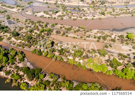 The zambezi river 117568554
