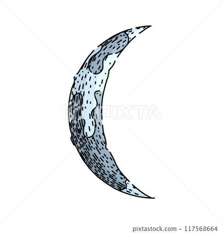 phases moon sketch hand drawn vector phases moon sketch hand drawn vector 117568664