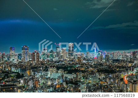 Tokyo night view and lightning Tokyo night view and lightning 117568819