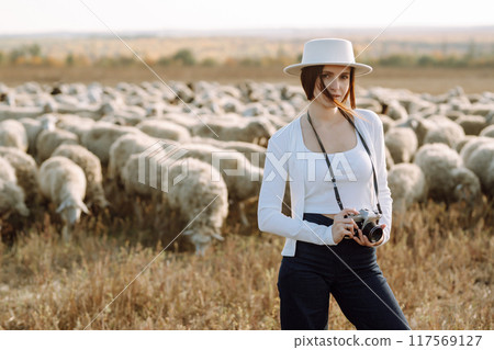 Young woman with a camera in front of a herd of sheep. Nature, fashion, vacation and lifestyle. Young woman with a camera in front of a herd of sheep. Nature, fashion, vacation and lifestyle. 117569127