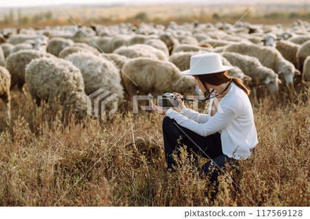 Young woman with a camera in front of a herd of sheep. Nature, fashion, vacation and lifestyle. Young woman with a camera in front of a herd of sheep. Nature, fashion, vacation and lifestyle. 117569128