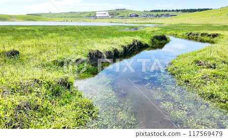 Meadow and stream landscape 117569479