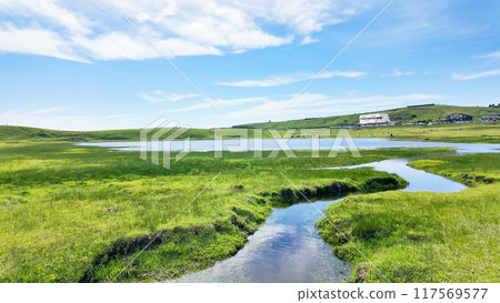 阿蘇/草千里濱的風景 阿蘇/草千里濱的風景 117569577
