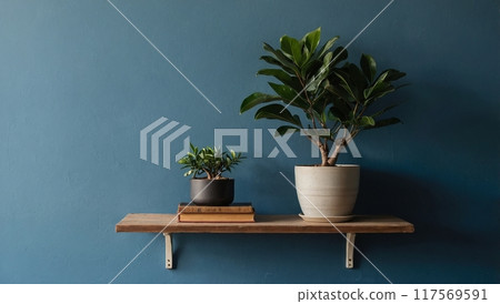 On the blue wall hangs a shelf with books and a pot of ficus. light falls on the wall from the window 117569591