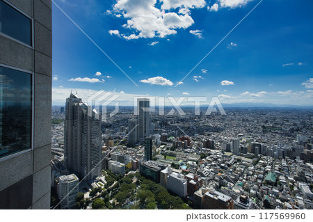 View to the southwest from the Tokyo Metropolitan Government Building, including the Park Hyatt Tokyo View to the southwest from the Tokyo Metropolitan Government Building, including the Park Hyatt Tokyo 117569960