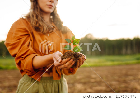 A young plant in hands of woman farmer against background of agricultural field. Organic gardening A young plant in hands of woman farmer against background of agricultural field. Organic gardening 117570473