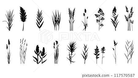 Reed icons set. Wetlands cane black contour silhouettes. Nature ecosystem waterlogged soils plant elements collection. Water grass black and white simple logo. Isolated vector clipart collection Reed icons set. Wetlands cane black contour silhouettes. Nature ecosystem waterlogged soils plant elements collection. Water grass black and white simple logo. Isolated vector clipart collection 117570587