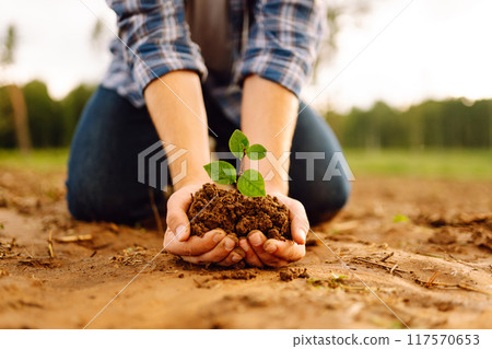 A man holds a green plant in his hands. Growing food. Agriculture concept. 117570653