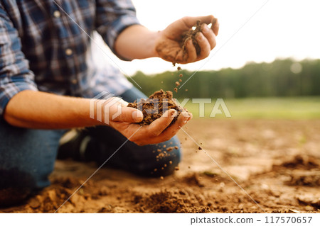 Close-up of a farmer's strong hands on a black field. Concept of gardening, ecology. Close-up of a farmer's strong hands on a black field. Concept of gardening, ecology. 117570657
