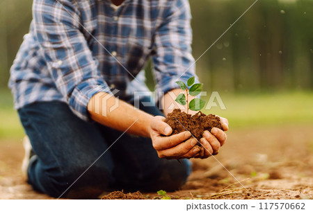 A man holds a green plant in his hands. Growing food. Agriculture concept. 117570662