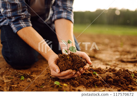 A man holds a green plant in his hands. Growing food. Agriculture concept. 117570672