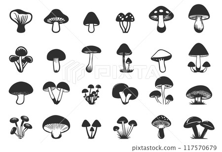 Forest mushrooms icons set. Autumn plant. Healthy food. Nature design element for menu logo recipe decoration. Simple black and white flat style isolated vector clipart collection Forest mushrooms icons set. Autumn plant. Healthy food. Nature design element for menu logo recipe decoration. Simple black and white flat style isolated vector clipart collection 117570679