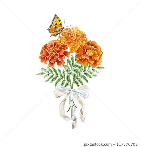 Marigolds watercolor, bouquet of flowers tied with a ribbon, butterfly. Botanical illustration isolated. Birthday cards, wedding invitations, covers. 117570708
