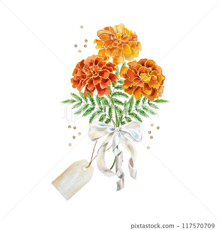 Marigolds watercolor, bouquet of flowers tied with ribbon and tag. Hand drawn illustration isolated. For birthday cards, wedding invitations, covers. 117570709