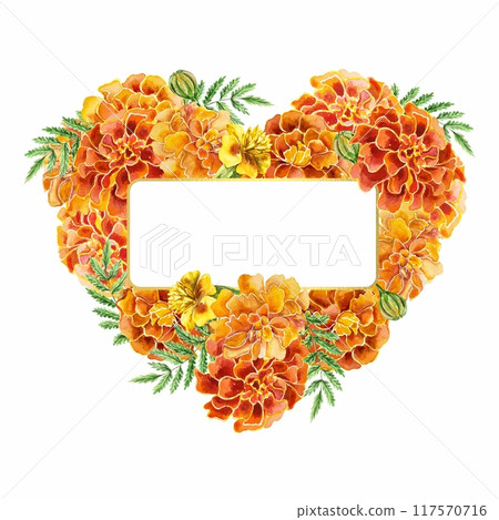 Marigolds watercolor frame in the shape of a heart. Hand drawn illustration isolated. Birthday, Diwali greeting cards, wedding invitations, labels. Marigolds watercolor frame in the shape of a heart. Hand drawn illustration isolated. Birthday, Diwali greeting cards, wedding invitations, labels. 117570716