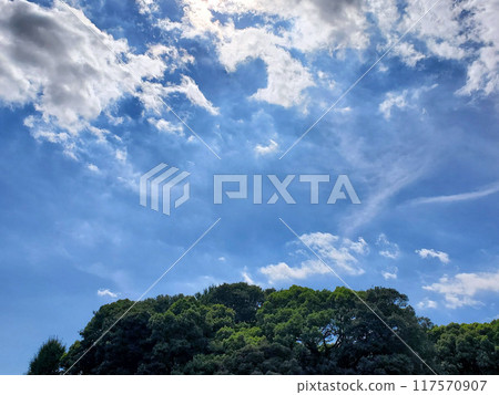 天空和森林 天空和森林 117570907