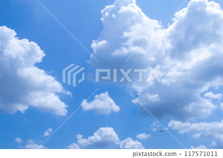 Summer's blue sky and white clouds Summer's blue sky and white clouds 117571011